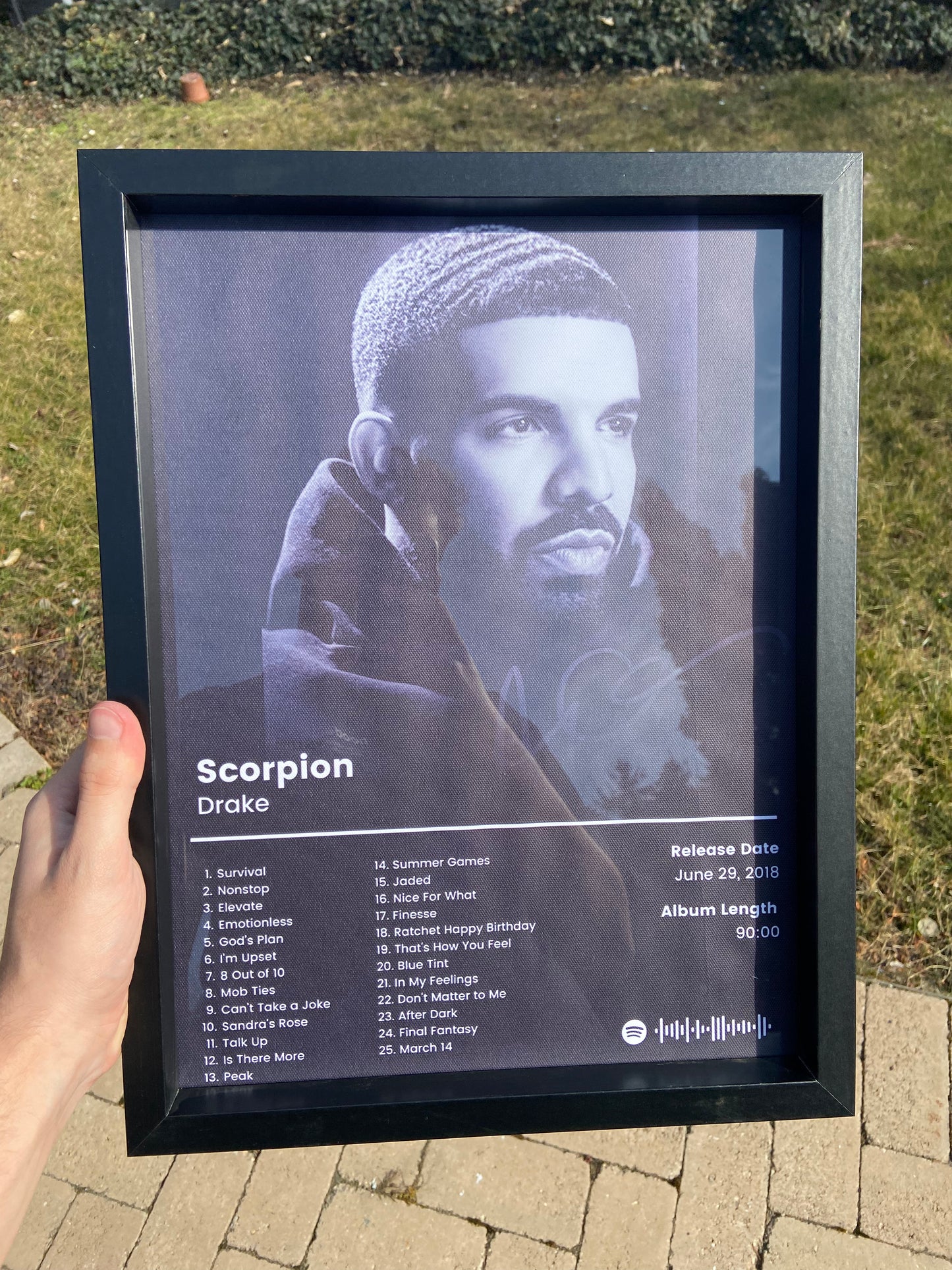 Drake album kép