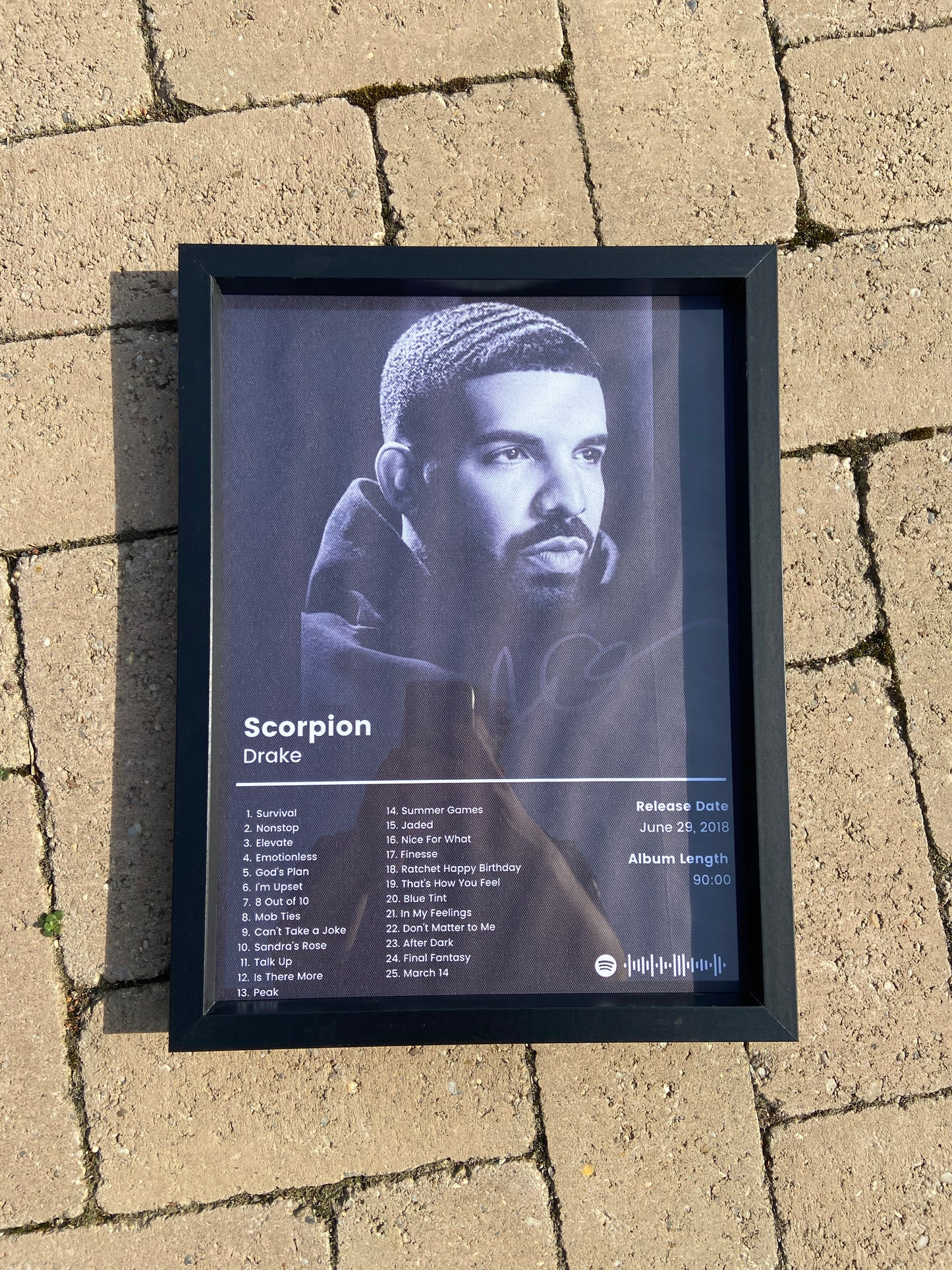Drake album kép